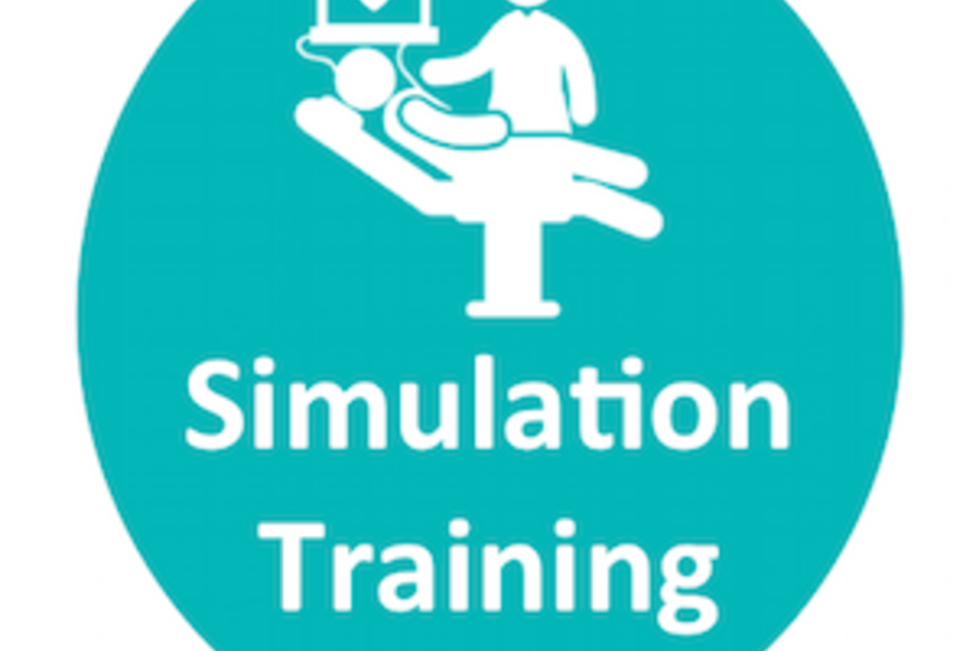 SIMULATION-ICON.png