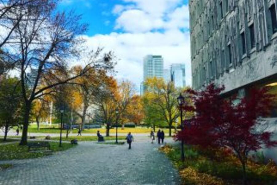 U of T students walking