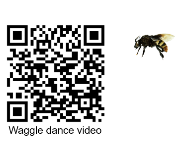 QR code with the words Waggle dance video underneath and image of a bee next to it